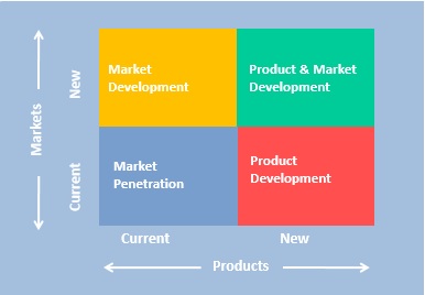 Strategies for growth include introducing new products and/or entering new markets