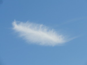 feather like cloud